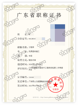 评审职称成功案例